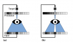 论文笔记——[CVPR2019]Noise2Void-Learning Denoising from Single Noisy Images