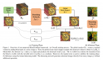 论文笔记——[CVPR2022]Blind2Unblind: Self-Supervised Image Denoising with Visible Blind Spots