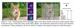 论文笔记——[NeurIPS 2021]Focal Self-attention for Local-Global Interactions in Vision Transformers